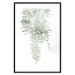 Poster Cascade of Greenery - plant with leaves on a gently blurred texture 126863 additionalThumb 18