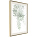 Poster Cascade of Greenery - plant with leaves on a gently blurred texture 126863 additionalThumb 3