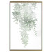 Poster Cascade of Greenery - plant with leaves on a gently blurred texture 126863 additionalThumb 17