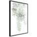 Poster Cascade of Greenery - plant with leaves on a gently blurred texture 126863 additionalThumb 11