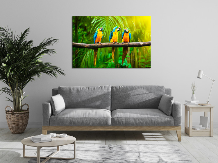 Canvas Art Print Parrot Trio (1-part) wide - exotic animals in the jungle 129163 additionalImage 3