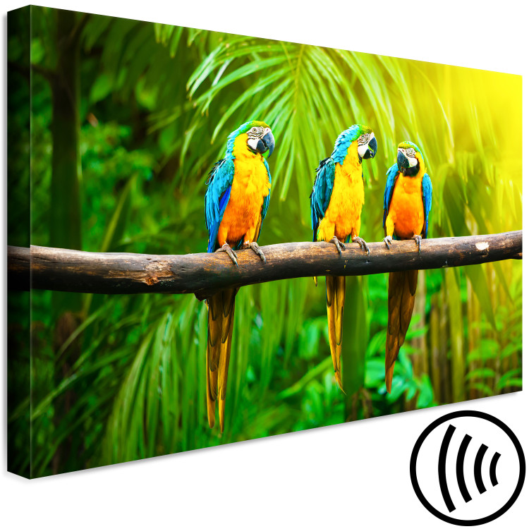 Canvas Art Print Parrot Trio (1-part) wide - exotic animals in the jungle 129163 additionalImage 6