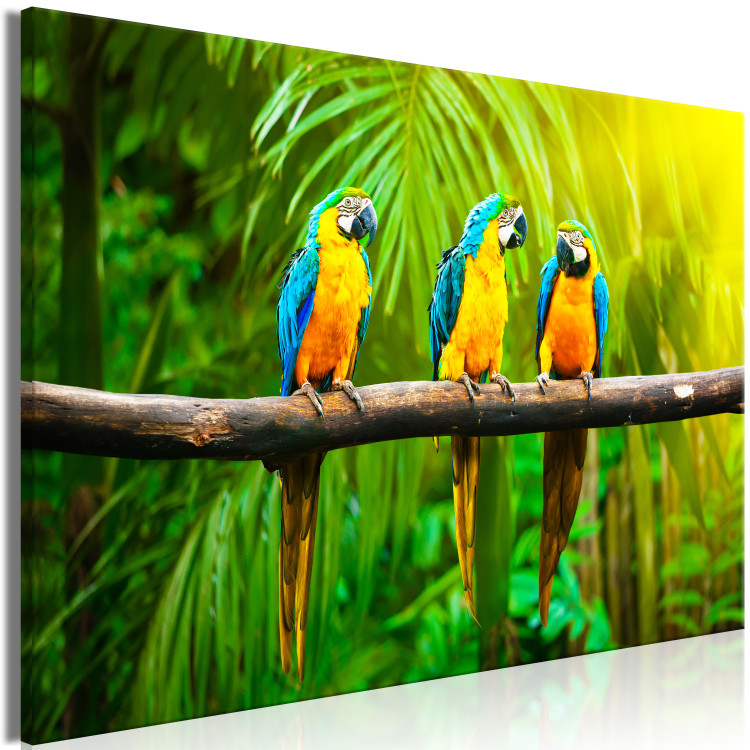 Canvas Art Print Parrot Trio (1-part) wide - exotic animals in the jungle 129163 additionalImage 2