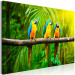 Canvas Art Print Parrot Trio (1-part) wide - exotic animals in the jungle 129163 additionalThumb 2