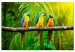 Canvas Art Print Parrot Trio (1-part) wide - exotic animals in the jungle 129163