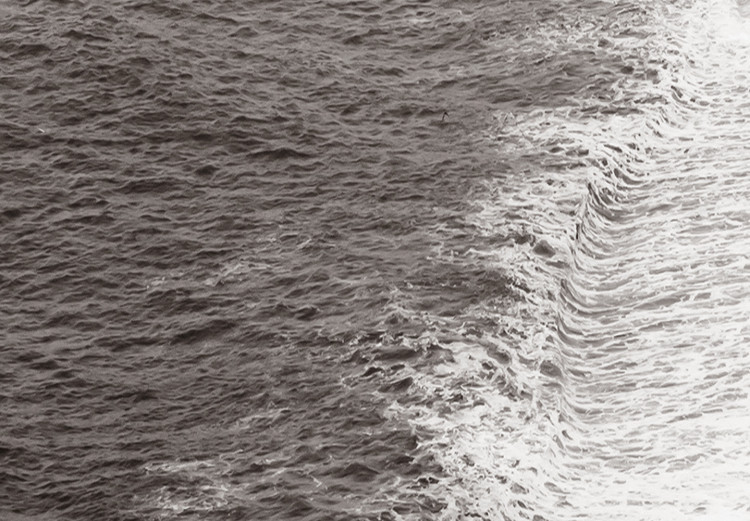 Wall Poster Balance of Opposites - monochromatic seascape with beach 130263 additionalImage 9