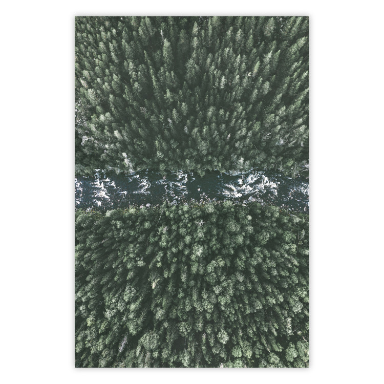 Wall Poster Forest River - a natural landscape of forest and river depicted from a bird's-eye view 130763