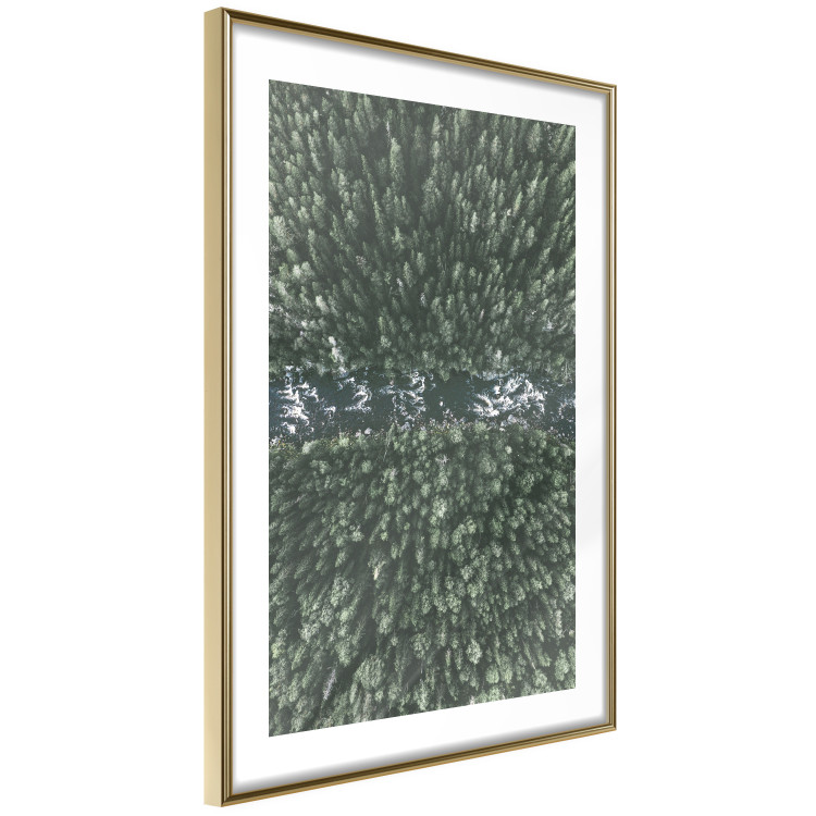 Wall Poster Forest River - a natural landscape of forest and river depicted from a bird's-eye view 130763 additionalImage 4