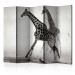 Folding Screen Giraffes II (5-piece) - black and white frame with animals in the mist 132563