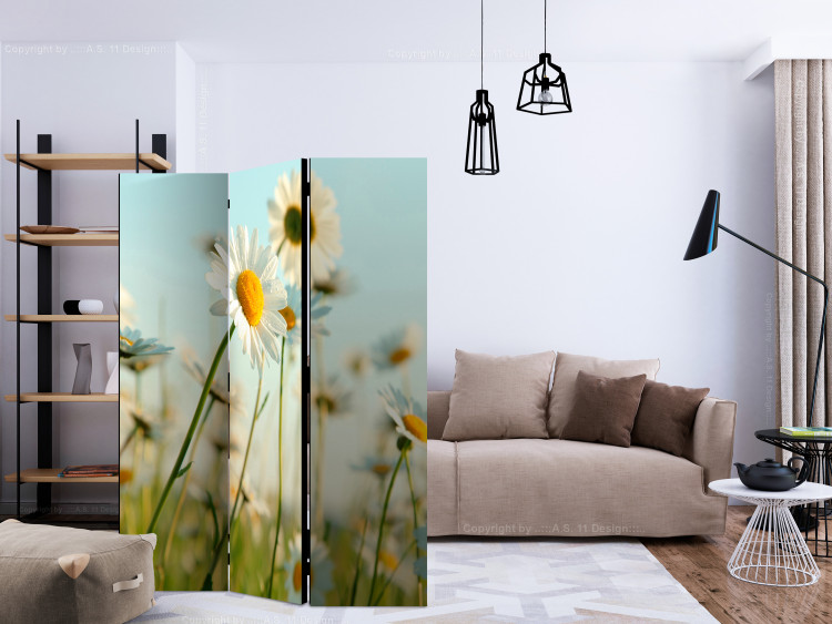 Folding Screen Daisies - Spring Meadow (3-piece) - white flowers in the middle of summer 132663 additionalImage 4