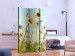 Folding Screen Daisies - Spring Meadow (3-piece) - white flowers in the middle of summer 132663 additionalThumb 2