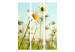Folding Screen Daisies - Spring Meadow (3-piece) - white flowers in the middle of summer 132663 additionalThumb 3