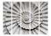 Folding Screen Seashell II - abstract texture of a spiral seashell in gray 133763 additionalThumb 3