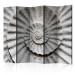 Folding Screen Seashell II - abstract texture of a spiral seashell in gray 133763