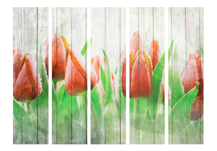 Room Divider Red Tulips on Wood II - tulip flowers on a wooden background 133863 additionalImage 3