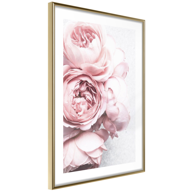 Poster Rosy Scent - romantic composition of pink flowers on a light background 135763 additionalImage 2