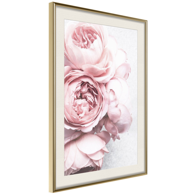 Poster Rosy Scent - romantic composition of pink flowers on a light background 135763 additionalImage 5