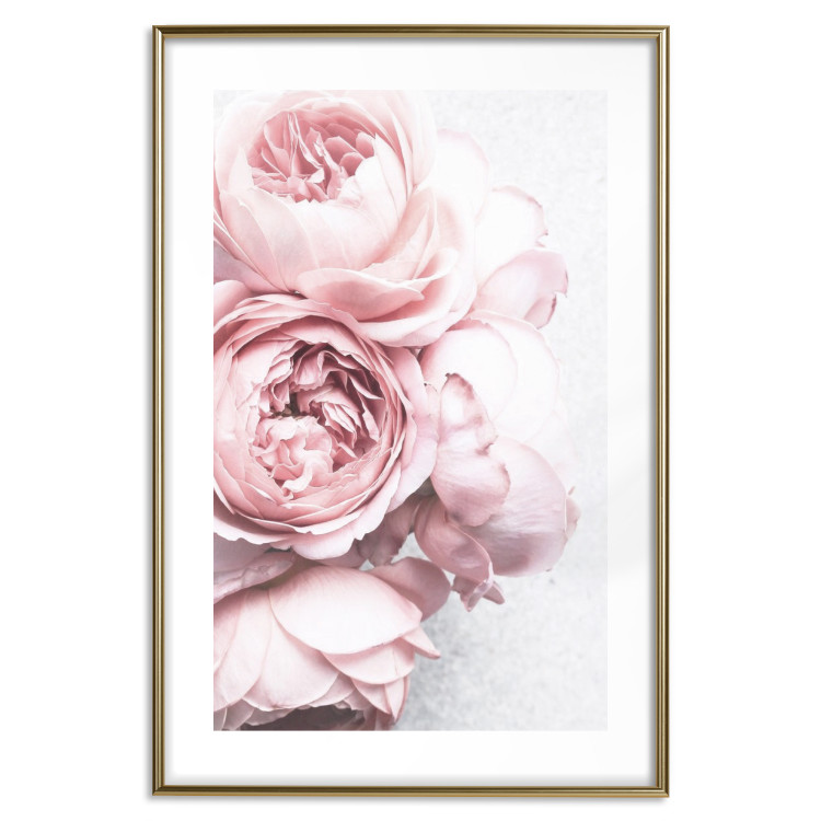 Poster Rosy Scent - romantic composition of pink flowers on a light background 135763 additionalImage 20
