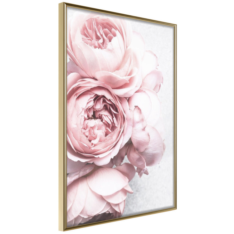 Poster Rosy Scent - romantic composition of pink flowers on a light background 135763 additionalImage 13