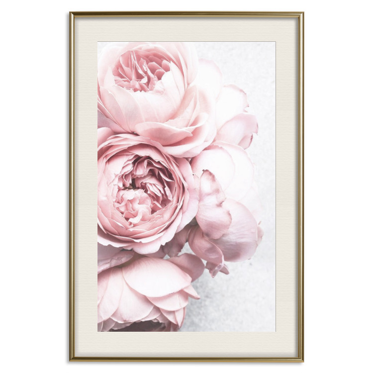 Poster Rosy Scent - romantic composition of pink flowers on a light background 135763 additionalImage 27