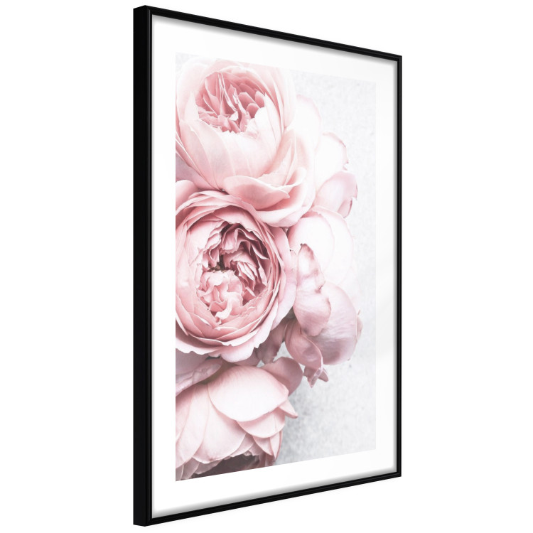 Poster Rosy Scent - romantic composition of pink flowers on a light background 135763 additionalImage 3