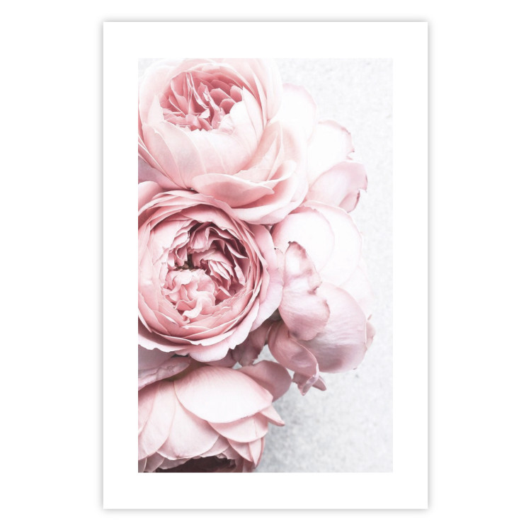 Poster Rosy Scent - romantic composition of pink flowers on a light background 135763 additionalImage 19