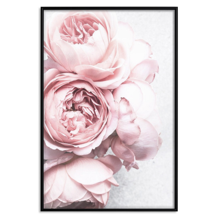 Poster Rosy Scent - romantic composition of pink flowers on a light background 135763 additionalImage 17