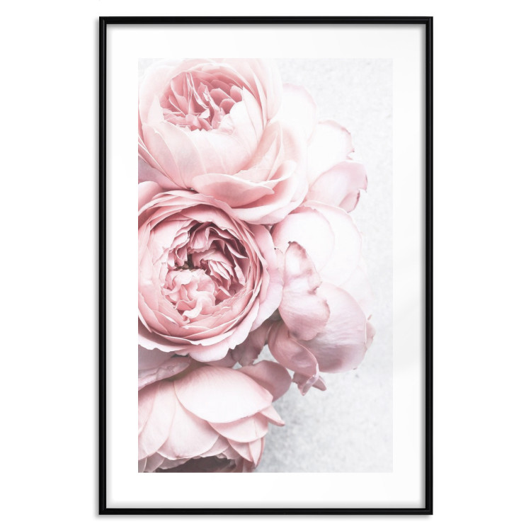 Poster Rosy Scent - romantic composition of pink flowers on a light background 135763 additionalImage 18