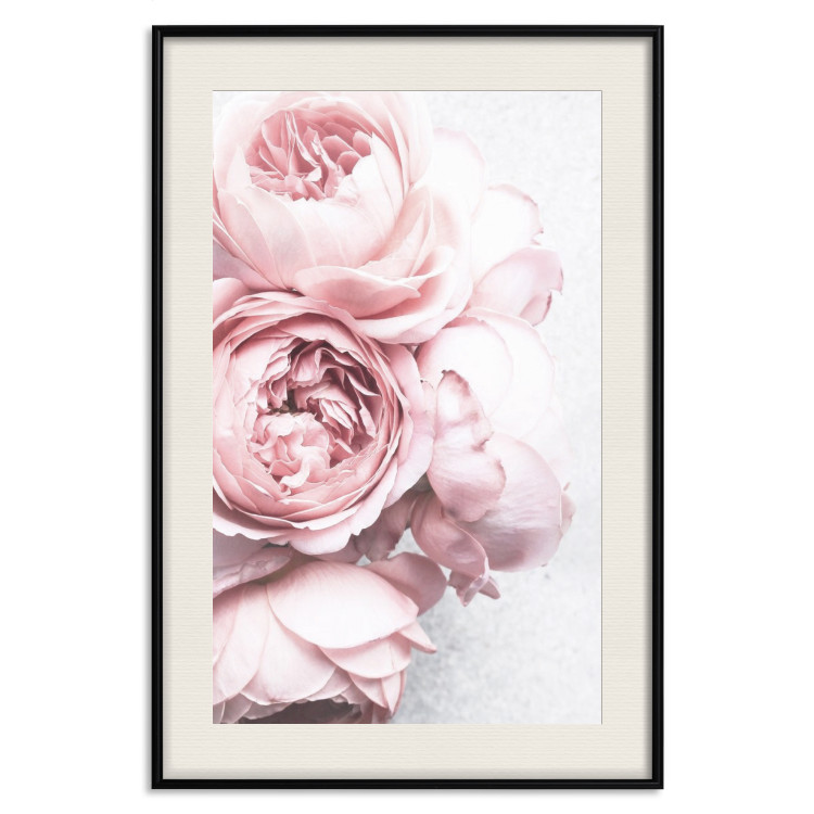 Poster Rosy Scent - romantic composition of pink flowers on a light background 135763 additionalImage 26
