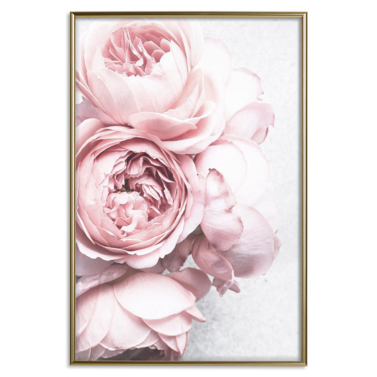 Poster Rosy Scent - romantic composition of pink flowers on a light background 135763 additionalImage 19