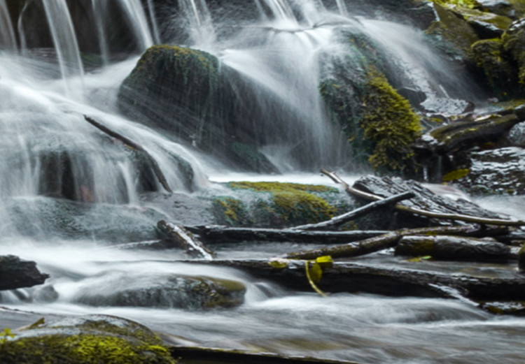 Large canvas print Awesome Waterfall - Green II [Large Format] 136363 additionalImage 5