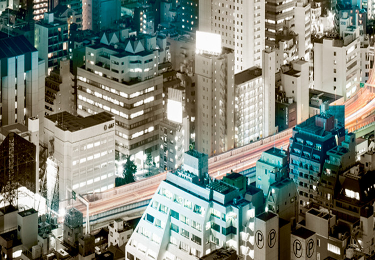 Large canvas print Tokyo Panorama II [Large Format] 137663 additionalImage 3
