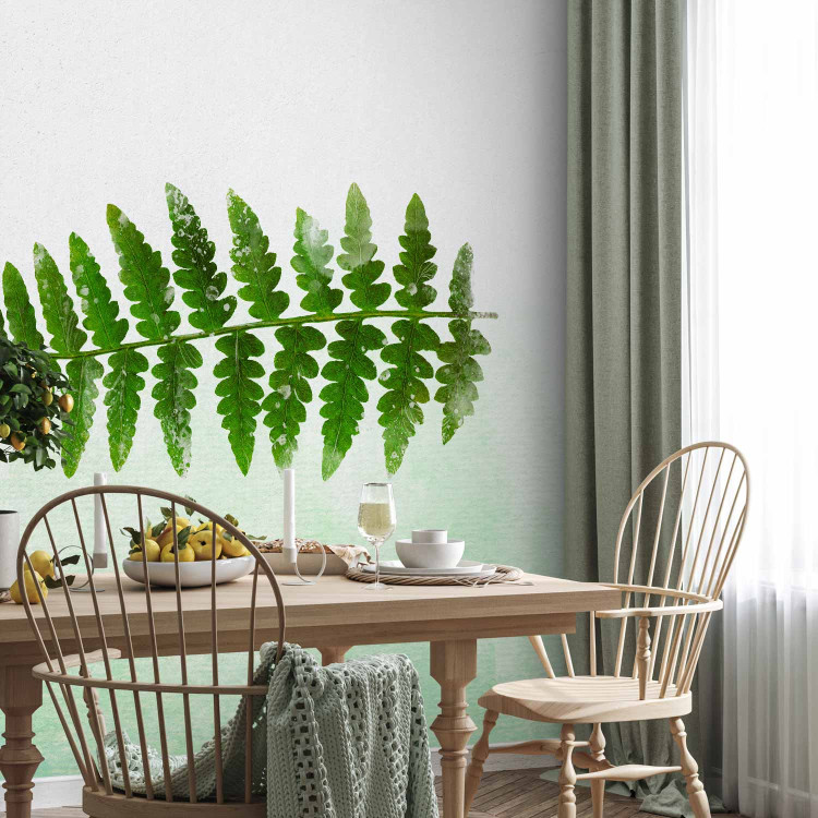Photo Wallpaper Nature of ferns - minimalist style landscape with green foliage 143163 additionalImage 7