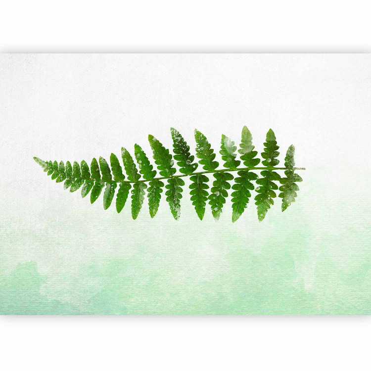 Photo Wallpaper Nature of ferns - minimalist style landscape with green foliage 143163 additionalImage 5