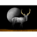 Photo Wallpaper Deer in grey - animal with golden elements on a moon background 143263 additionalThumb 5