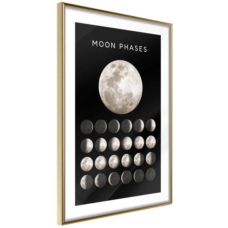 Wall Poster Moon Phases [Poster]  143363 additionalImage 9