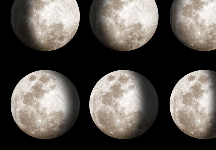 Wall Poster Moon Phases [Poster]  143363 additionalImage 6