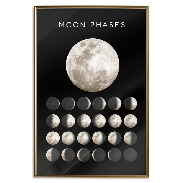 Wall Poster Moon Phases [Poster]  143363 additionalImage 18