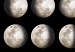 Wall Poster Moon Phases [Poster]  143363 additionalThumb 6