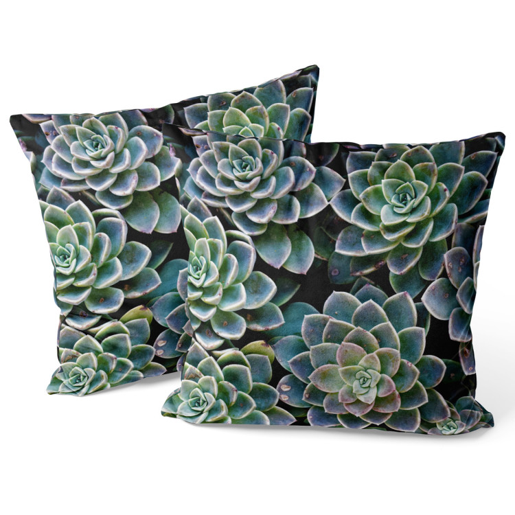 Decorative Velor Pillow Symmetry of succulents - a plant composition with rich detailing 147063 additionalImage 3