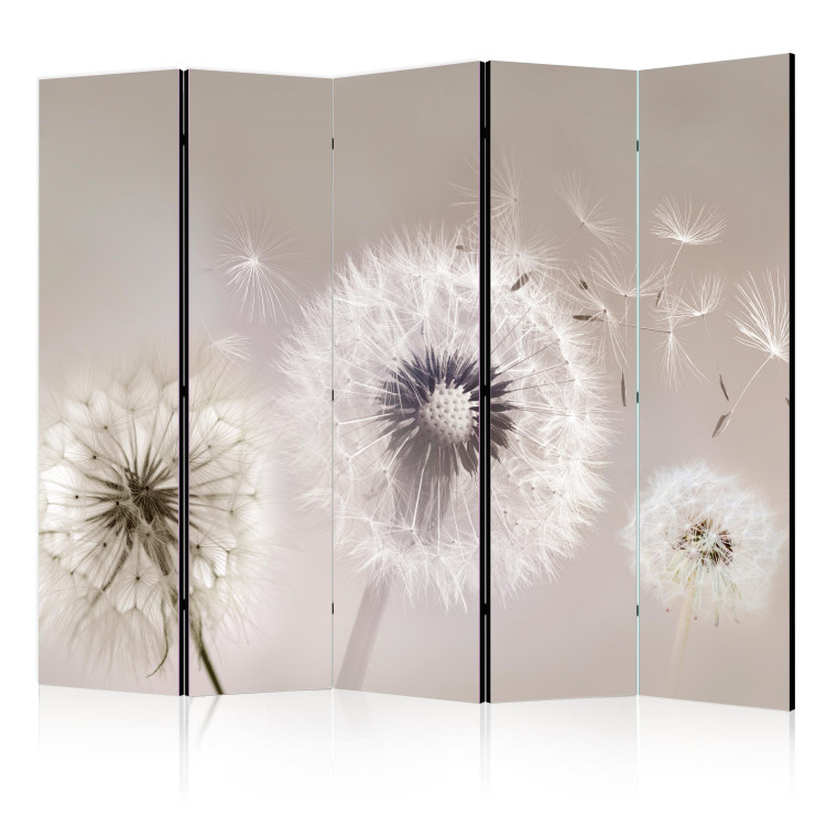 Room Divider Screen The Fleetingness of Summer - Delicate Composition With Dandelions II [Room Dividers] 152063