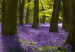 Canvas Print Hyacinth Field (1 Part) Narrow 108173 additionalThumb 5