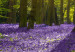 Canvas Print Hyacinth Field (1 Part) Narrow 108173 additionalThumb 4