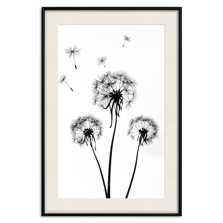 Wall Poster Flying dandelions - black and white composition with three flowers in the wind 115073 additionalImage 18