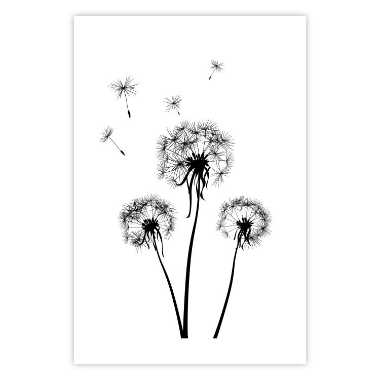 Wall Poster Flying dandelions - black and white composition with three flowers in the wind 115073 additionalImage 25