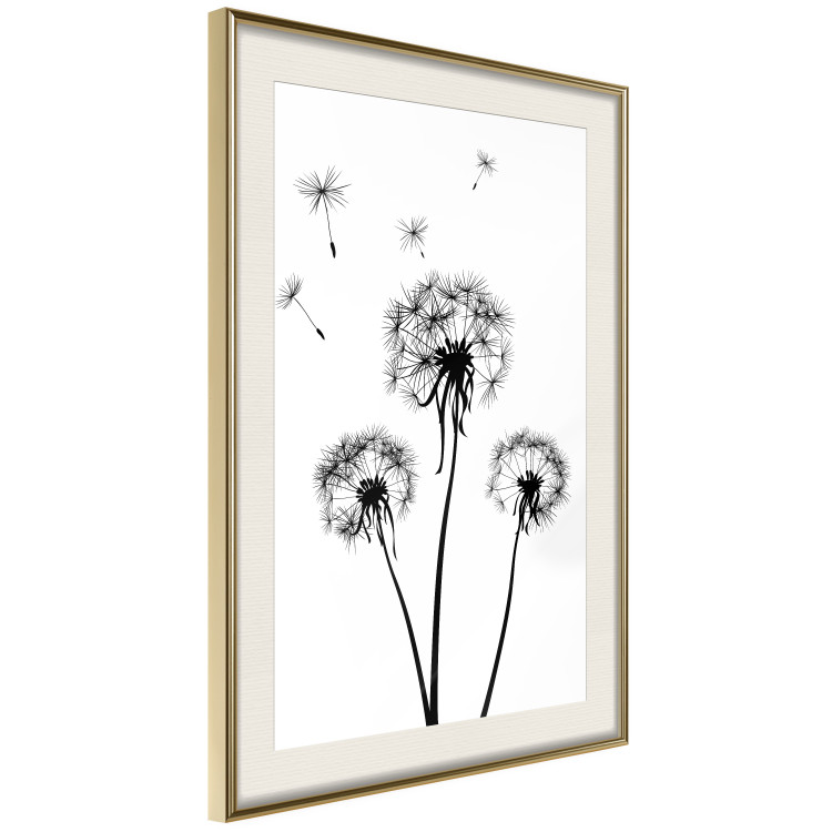 Wall Poster Flying dandelions - black and white composition with three flowers in the wind 115073 additionalImage 2
