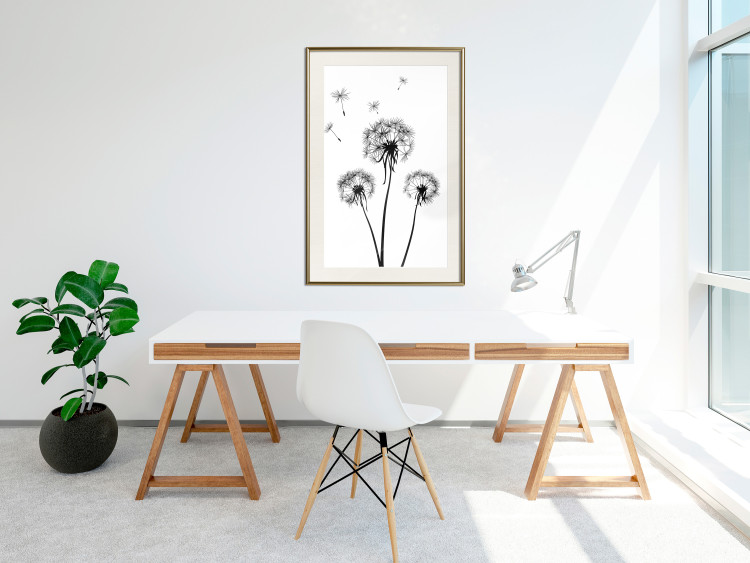 Wall Poster Flying dandelions - black and white composition with three flowers in the wind 115073 additionalImage 21