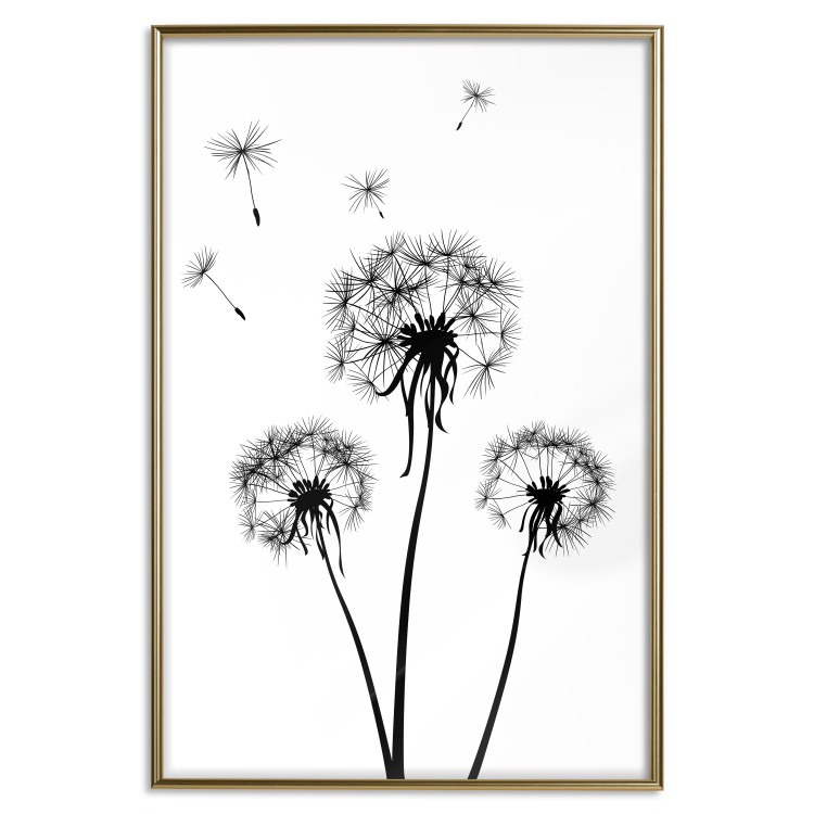 Wall Poster Flying dandelions - black and white composition with three flowers in the wind 115073 additionalImage 20