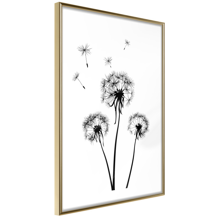 Wall Poster Flying dandelions - black and white composition with three flowers in the wind 115073 additionalImage 7