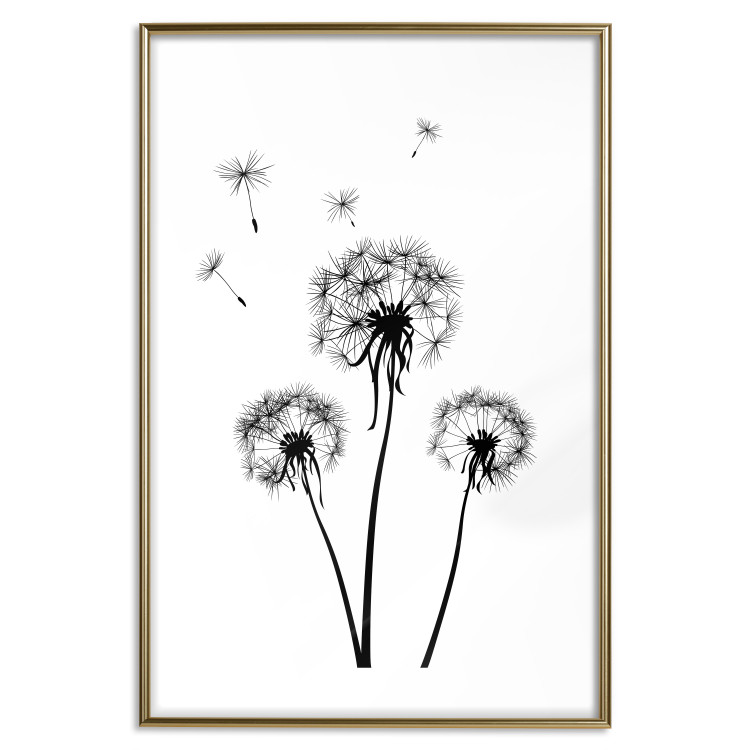 Wall Poster Flying dandelions - black and white composition with three flowers in the wind 115073 additionalImage 16